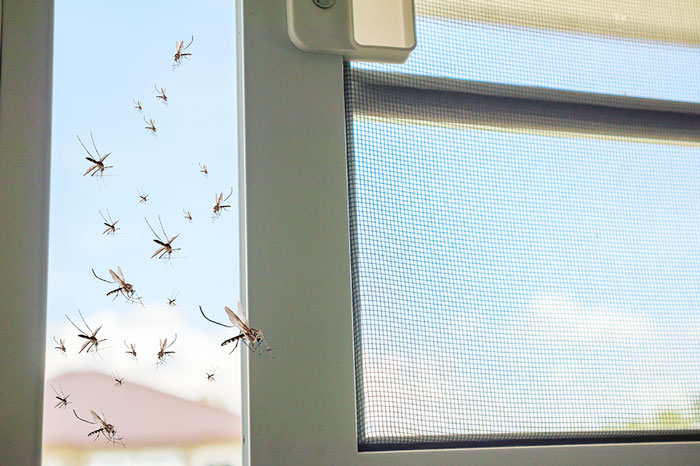 Mosquito Net Window